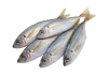 Цаца